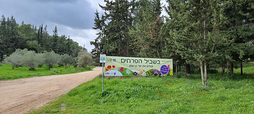 בשביל הפרחים ביער בן שמן