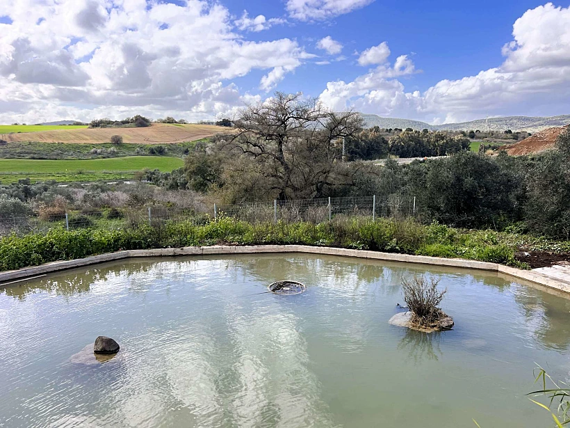עין קאזאן