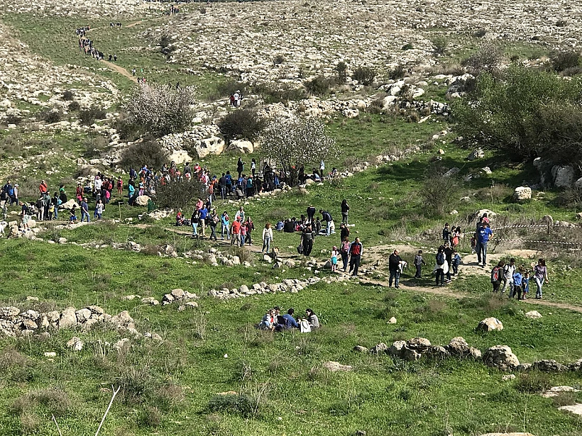 הגבעות הדרומיות במודיעין