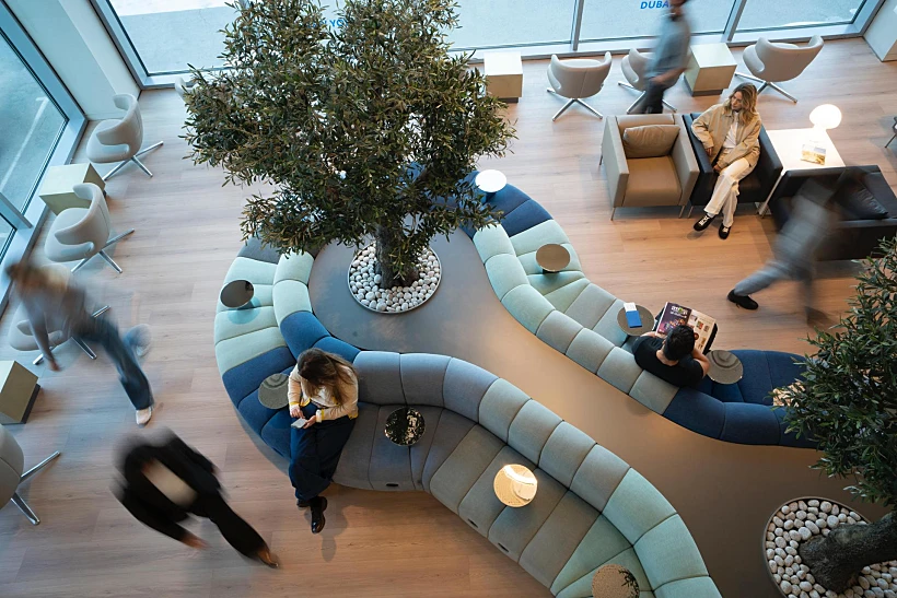 טרקלין המלך דוד המחודש