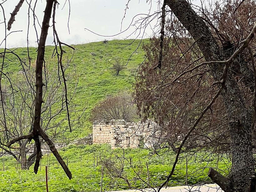 גן לאומי תל קדש