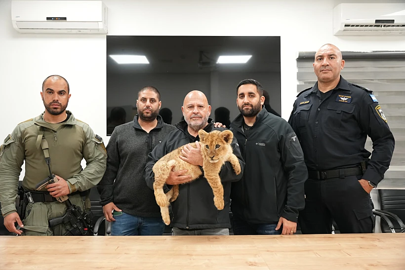 גור האריות שאותר בשטחי הפזורה הבדואית