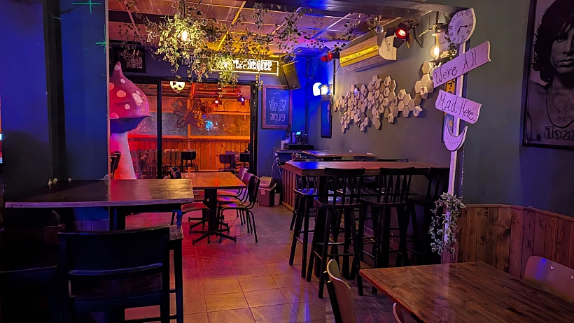 פנסה בר דגניה ב