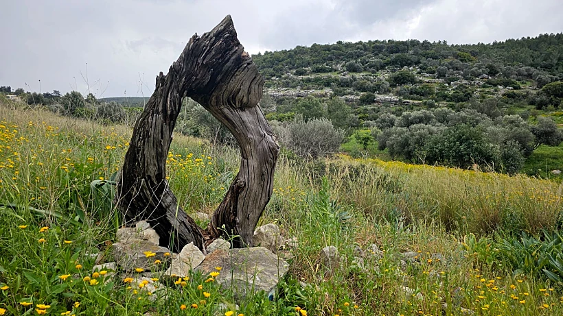 שביל ישראל עין הוד
