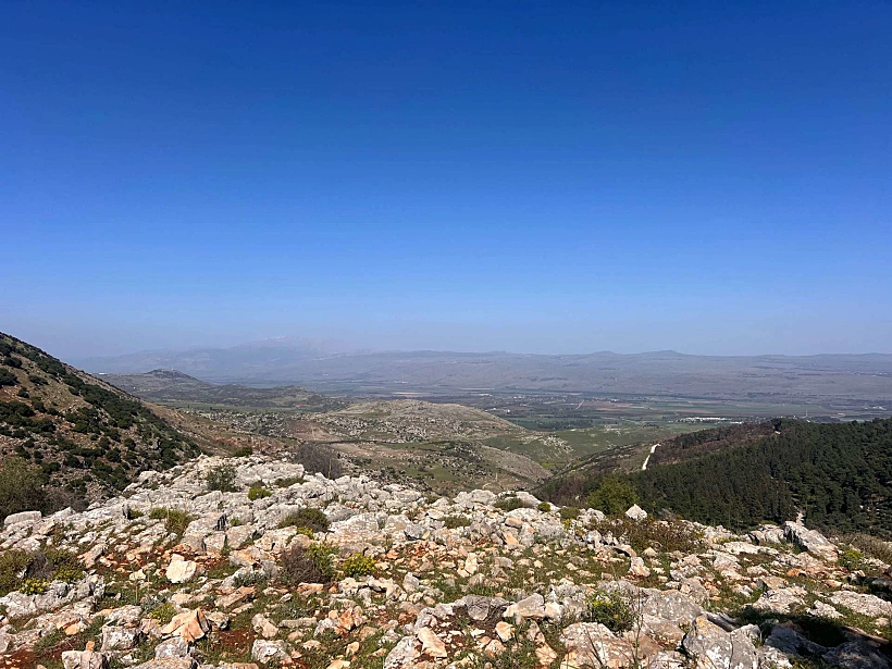 הנוף מתצפית מצוקי דלתון יער ביריה