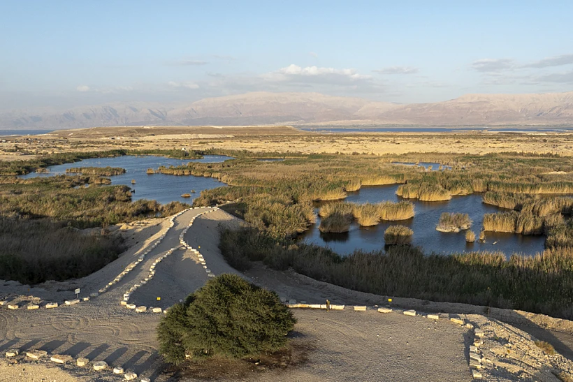 סיורי פסח במועצה האזורית תמר