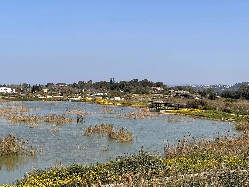 מרכז הצפרות במעגן מיכאל