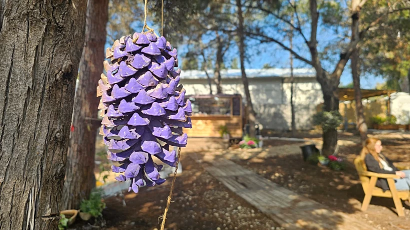 עגלת קפה הסגלגלה, מושב שדה יצחק