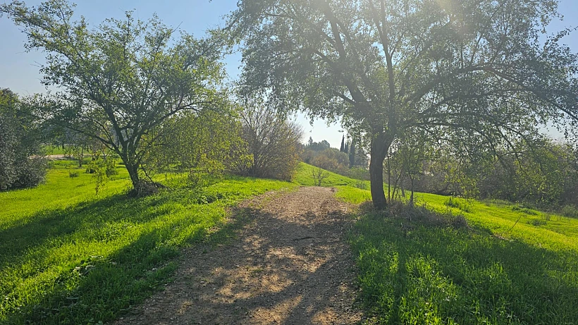 פארק נחל חביבה