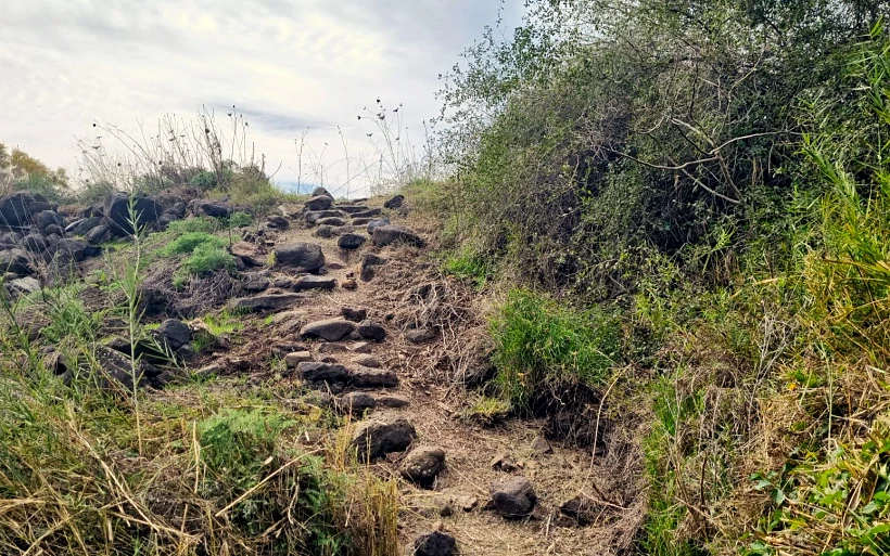 שביל סובב כינרת - מגשר אריק לכפר נחום