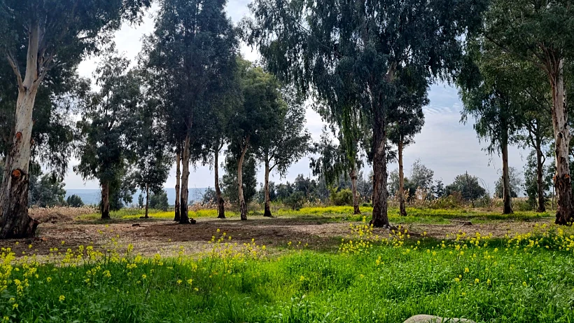 שביל סובב כינרת - מקטע יהודייה, מג'רסה וזאכי