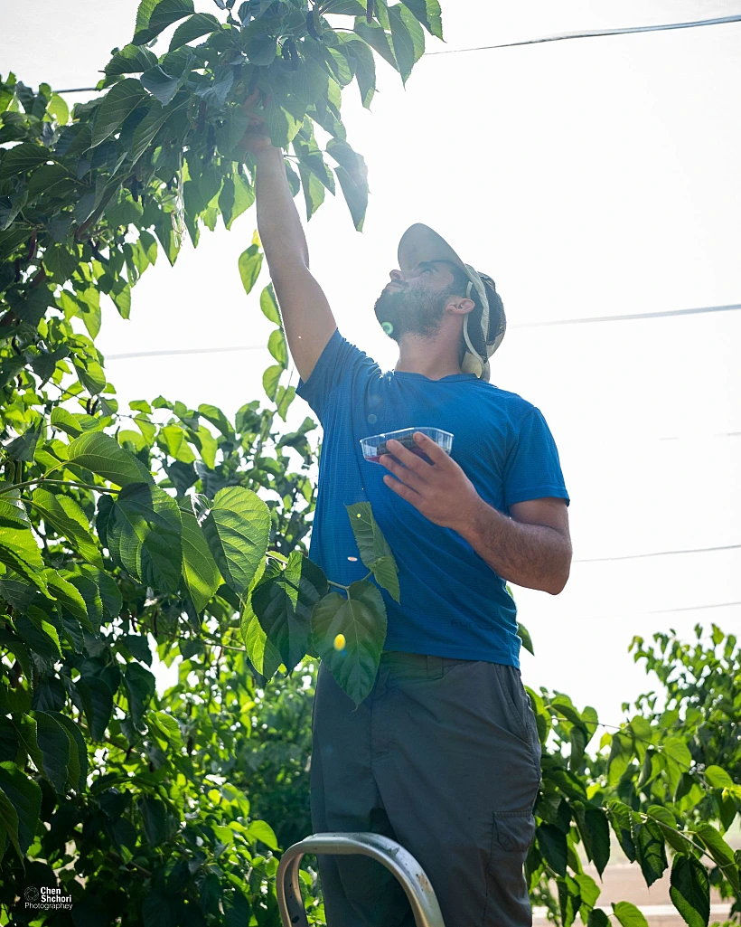 איתמר יצחקי