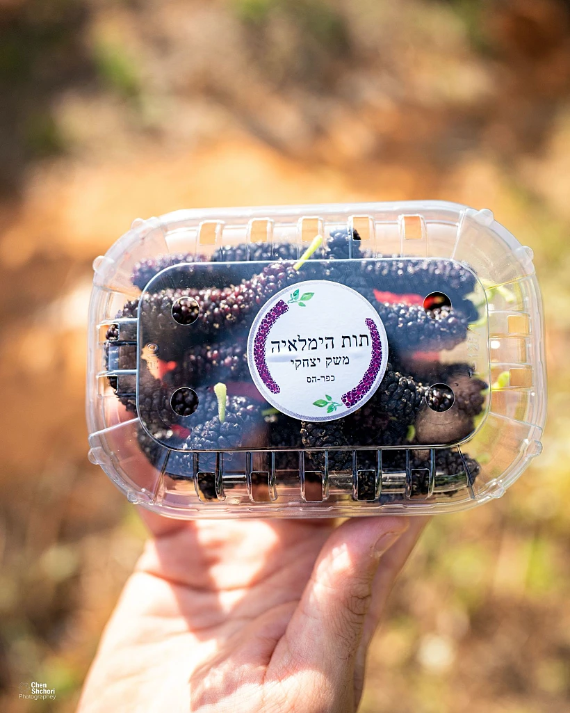 תות הימלאיה