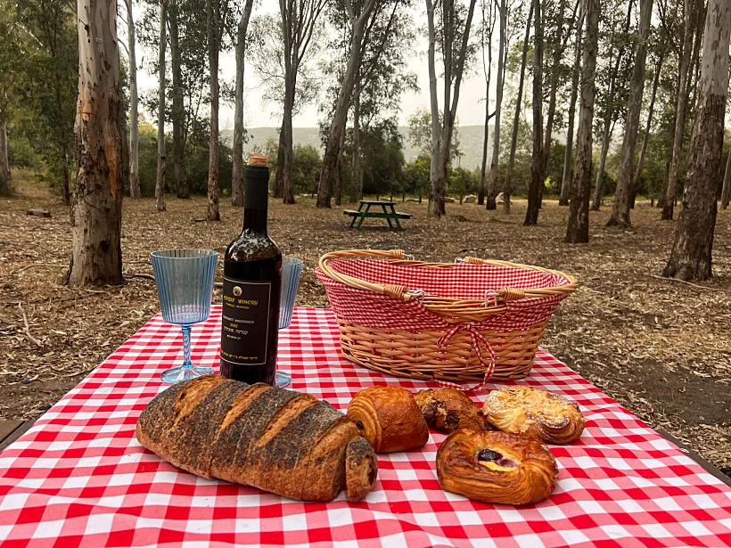 פיקניק בחורשת לימן