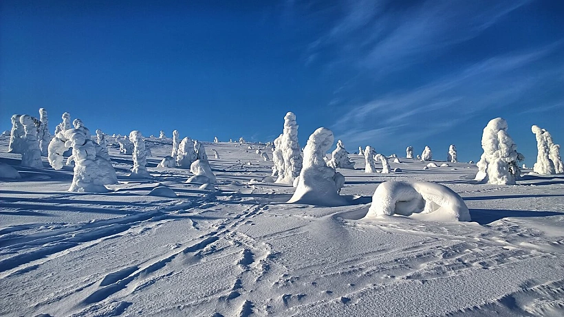 הפארק הלאומי Riisitunturi בלפלנד