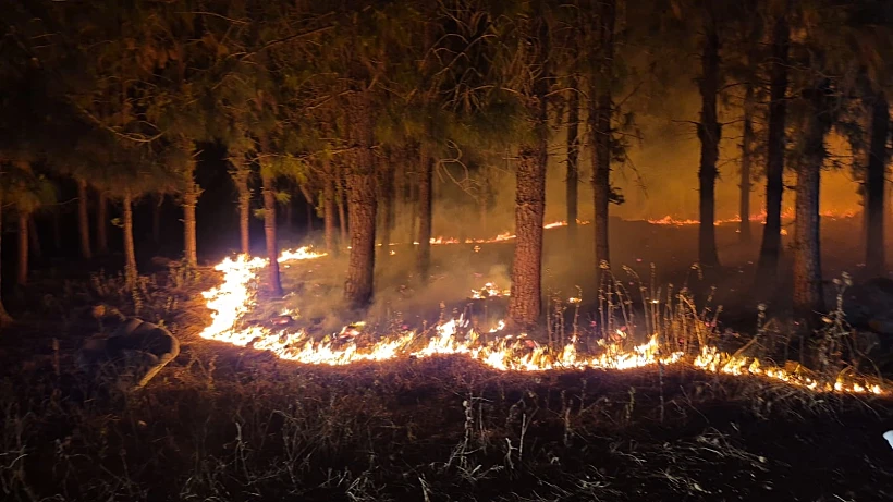 שריפה בשטח פתוח במצפה אילן