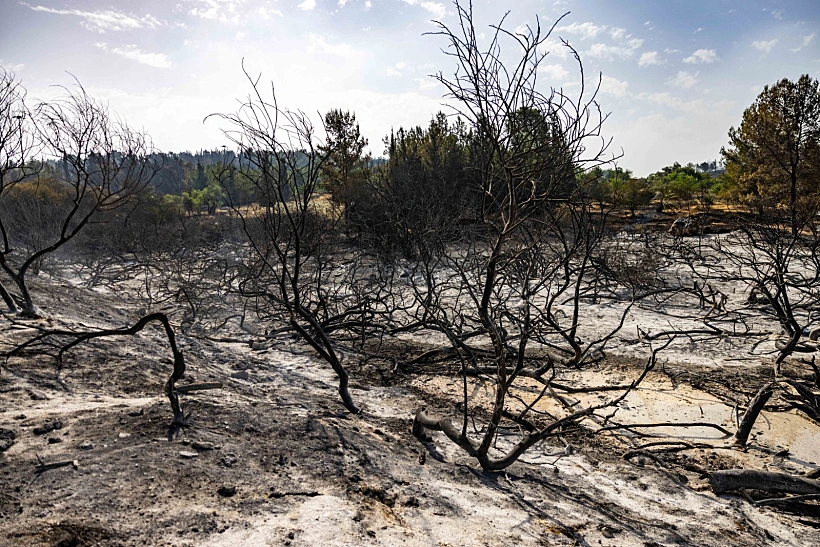 נזקי השריפות בהרי ירושלים