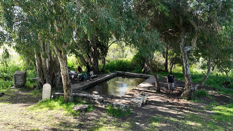 ברכת אורחה ג'וחאדר רמת הגולן