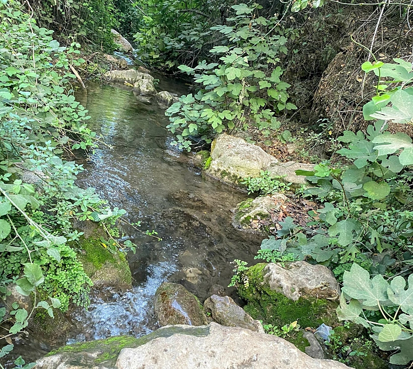 מעיינות בהר מירון