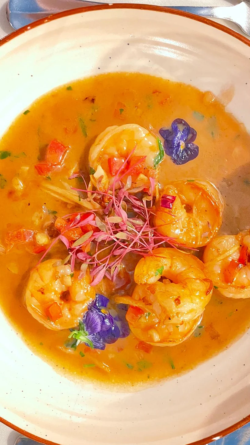 אמריקן קולוני