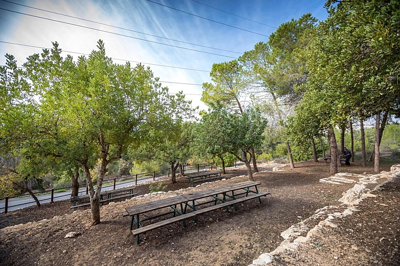 שביל הארז ירושלים