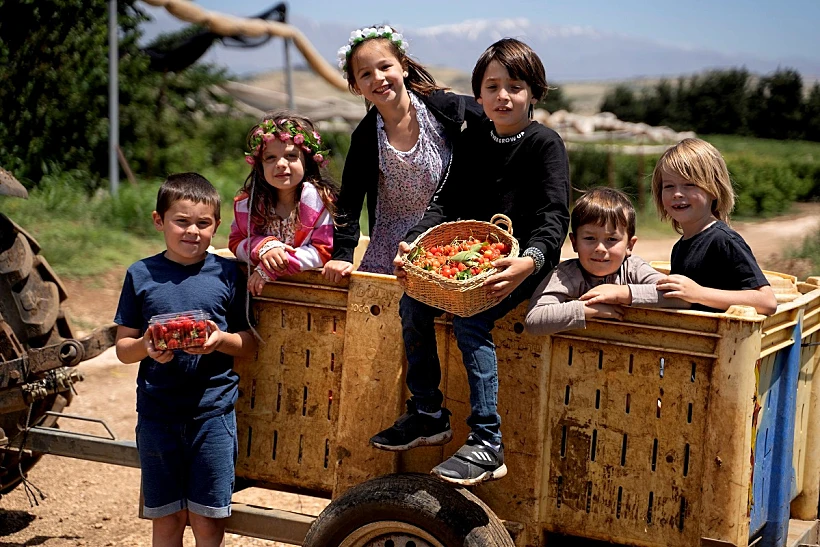 קטיף עצמי של דובדבנים, בוסתן בראשית בעין זיוון