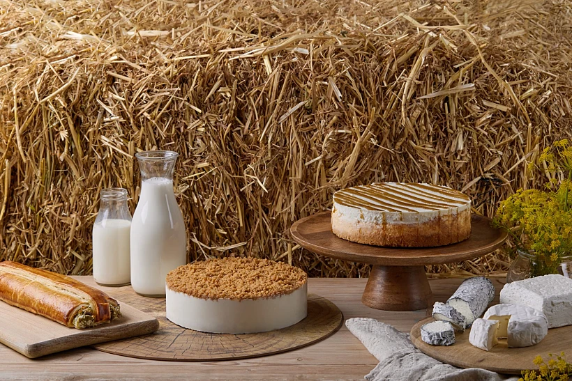 עוגת גבינת כבשים של בוטיק סנטרל