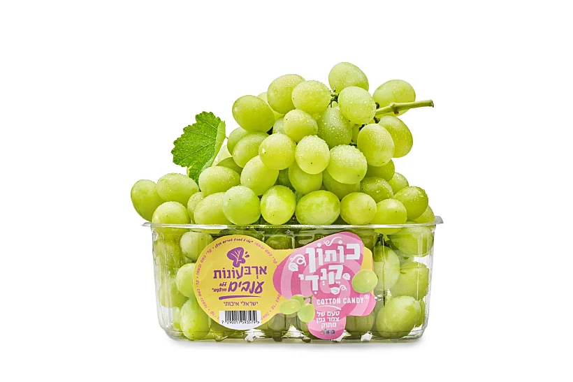 ענבי Cotton Candy