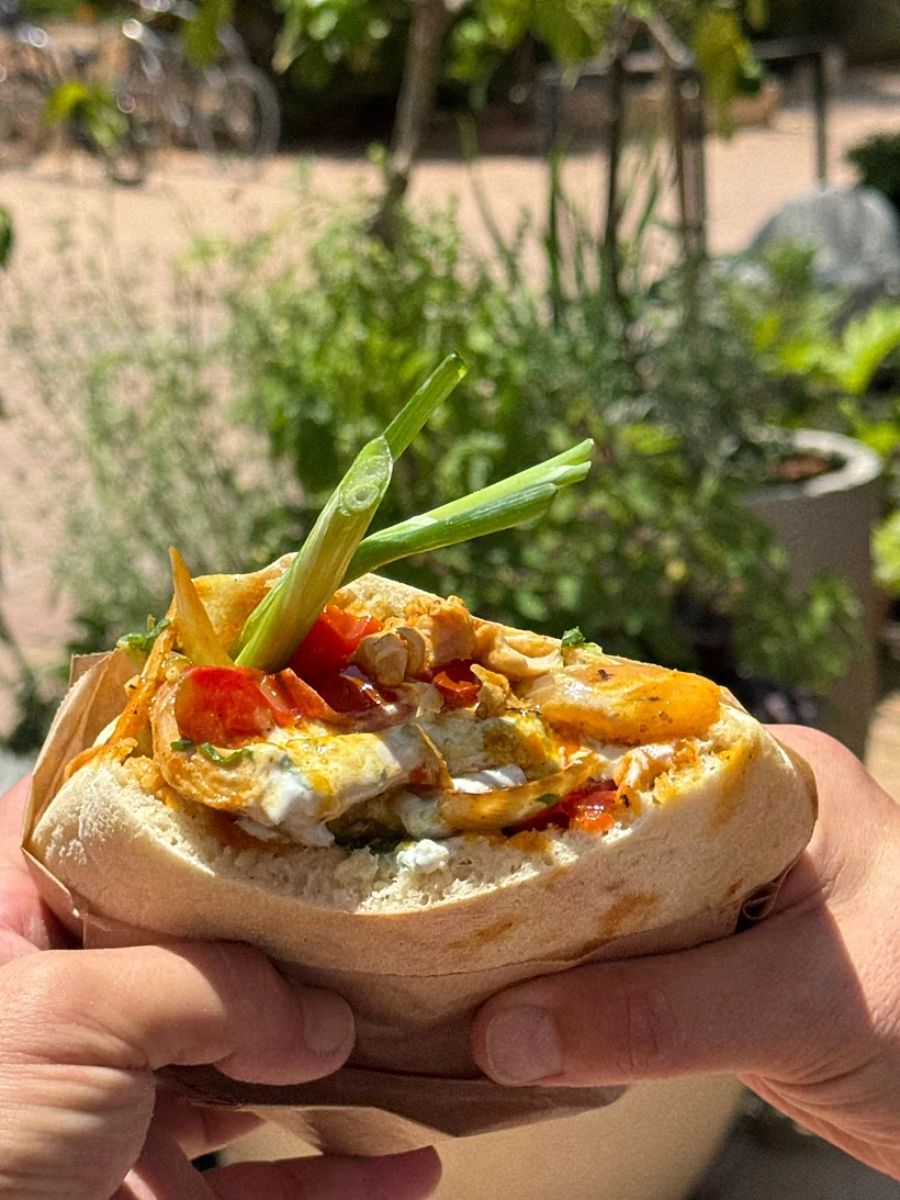 מעורב דגים בפיתה, תלם