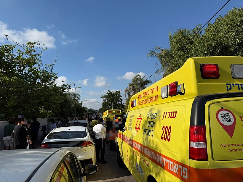 הזירה באליכין בה נשכחו פעוטות ברכב
