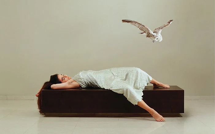 תערוכת "חלומות צלולים