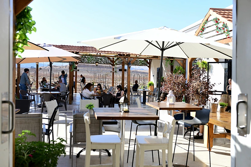 כרם ויקב הים האדום