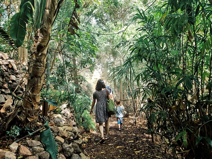 הגן הבוטני של אילת