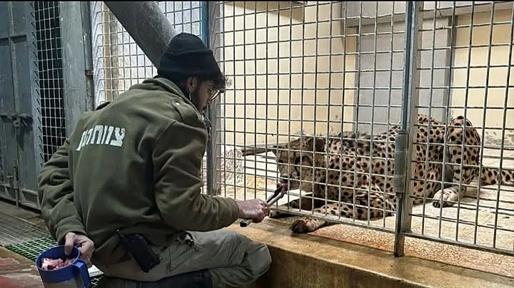 אוריאל נורי