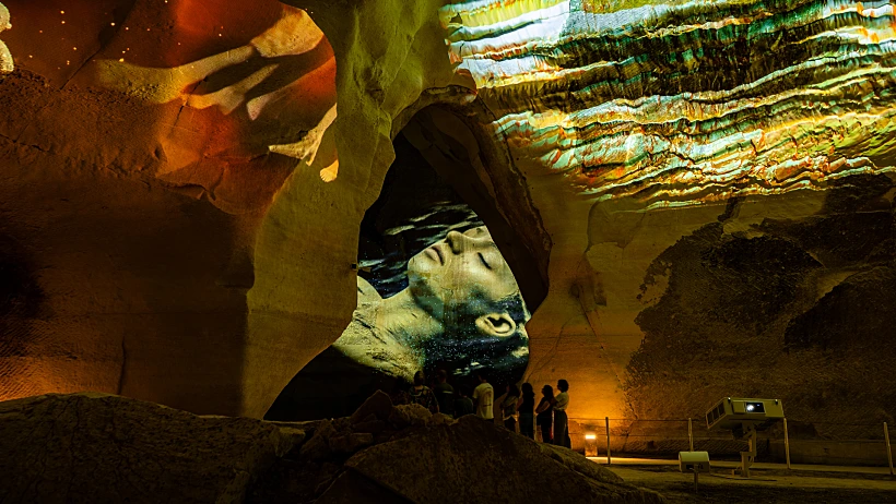 תערוכת נארי, בית גוברין