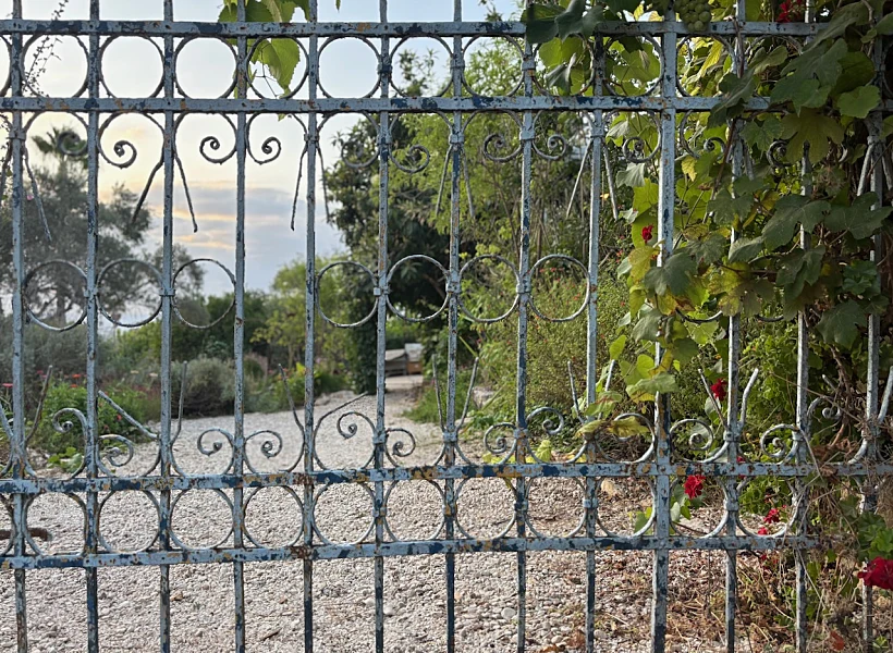 שער ברזל בגווני תכלת בחמדתיה אילניה