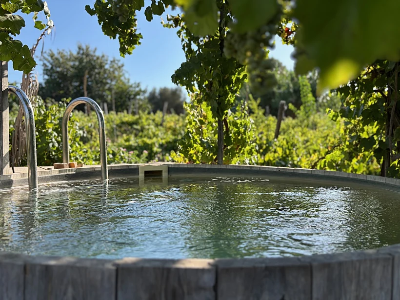 בריכת הטבילה הפרטית בחמדתיה