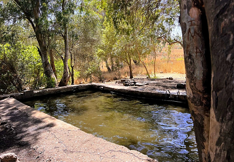 עין ג’וחדר (עין אורחה)