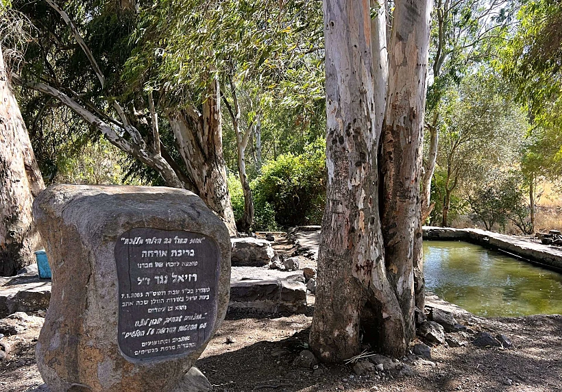 עין ג’וחדר (עין אורחה) – בריכה בלב חורשה