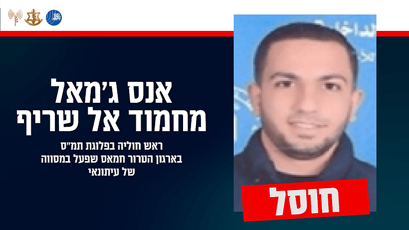 אנס אל שריף