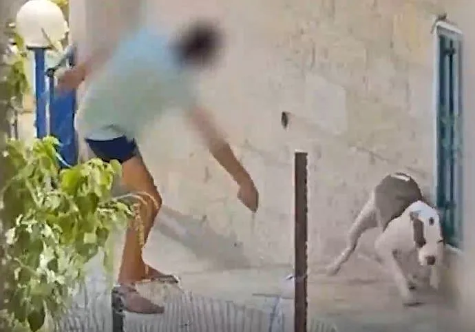 התעללות בכלב במבשרת ציון