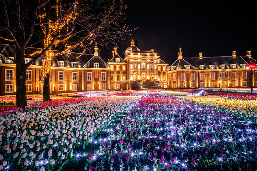 פרחים ב-Huis Ten Bosch Park בנגאסקי יפן