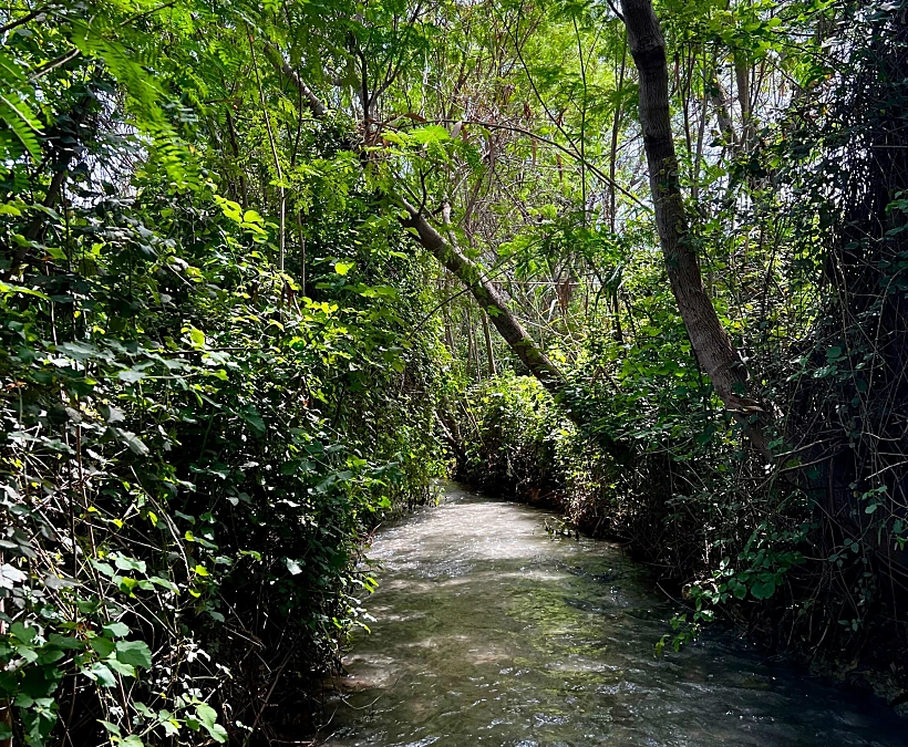 המסלול הרטוב – שביל צביקה