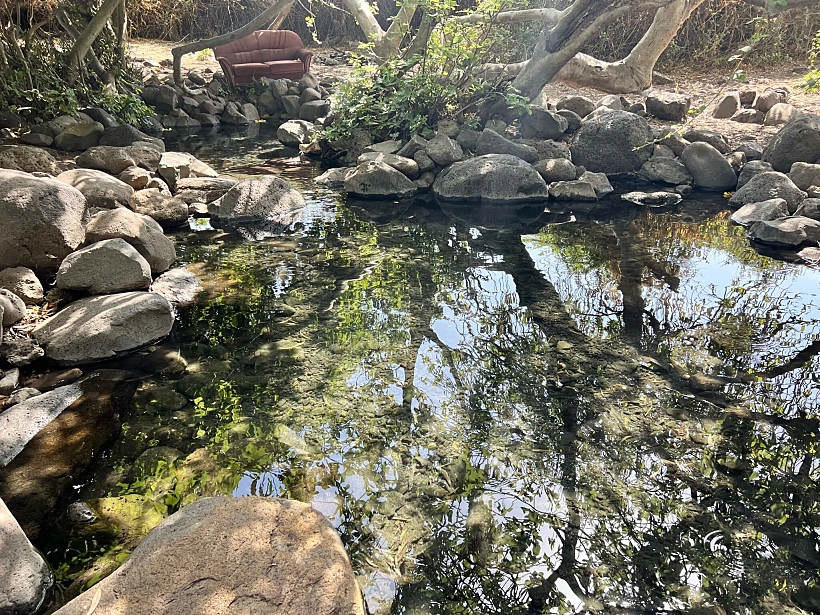 עין פחורה רמת הגולן