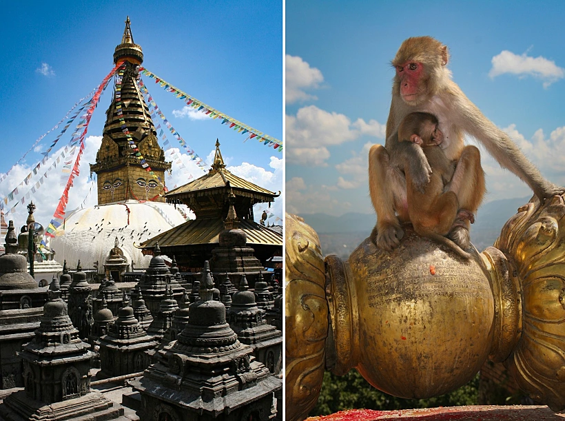 הסטופה המרכזית של מקדש הקופים, שמכונה כך על שם מושבת הקופים שמאכלסת את המתחם