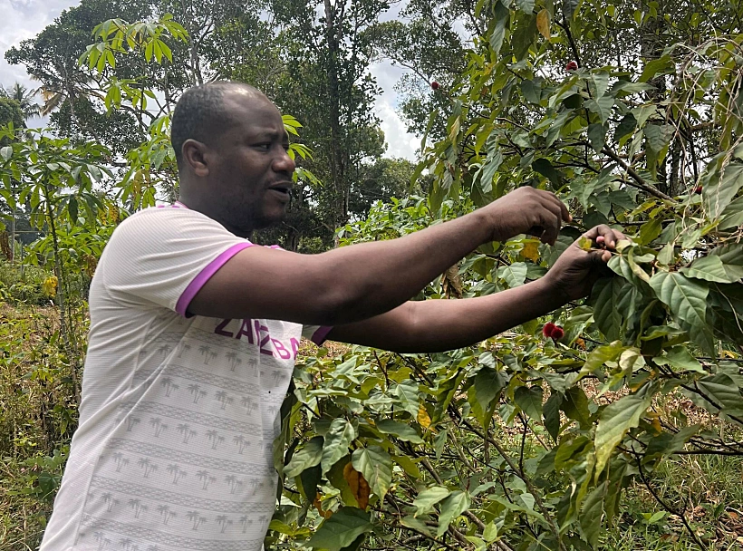 סיור בחות תבלינים זנזיבר