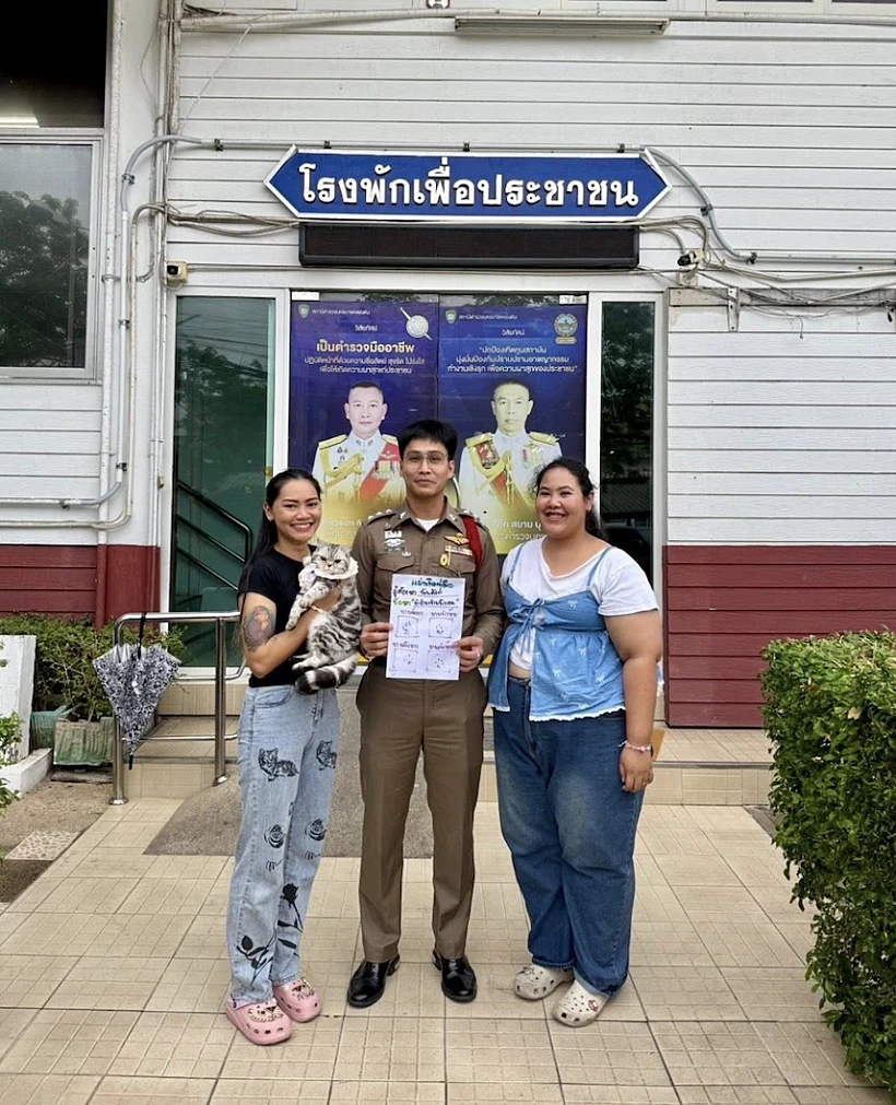 מעצרה של החתולה