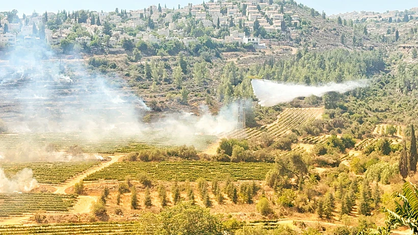 זירת השריפה בעמק הארזים