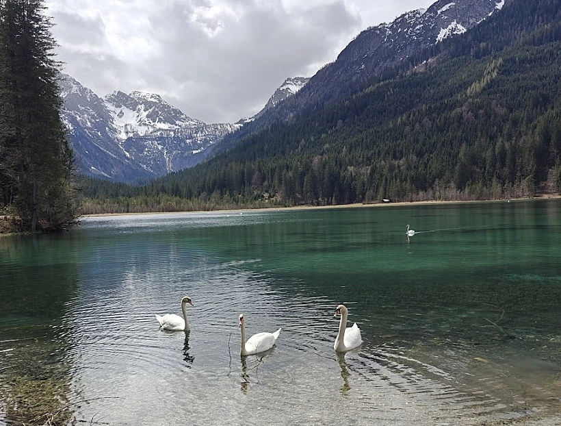 אגם יג'אר (Jägersee)