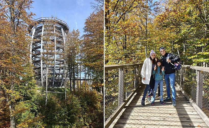 מסלול צמרות העצים גמונדן אוסטריה